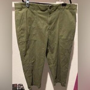 Terra & Sky 22W Green Denim Capris EUC